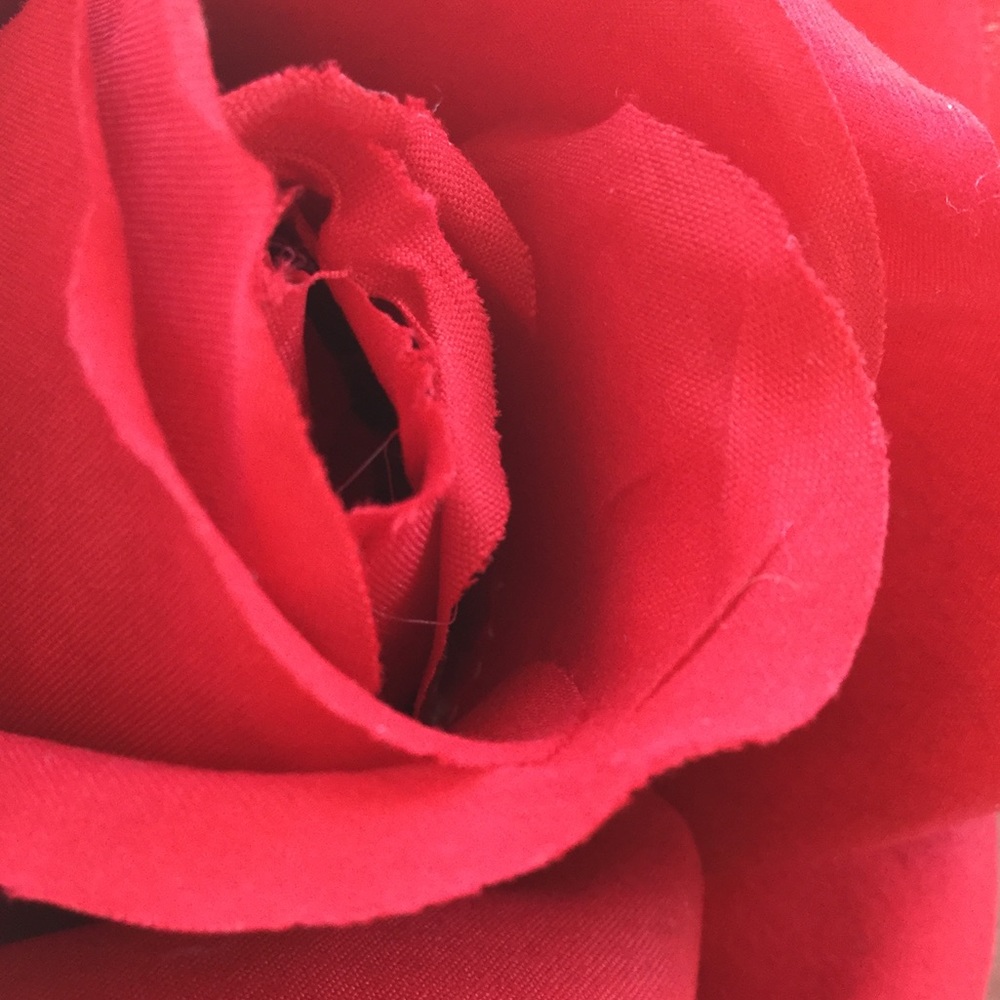 Meet your Posher, Ariel