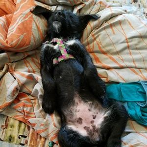 Meet your Posher, Kelley