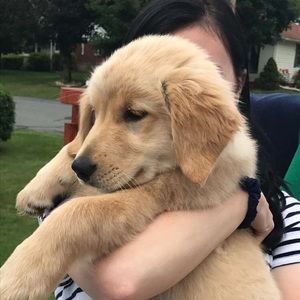 Meet your Posher, Cara