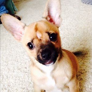 Meet your Posher, Taylor