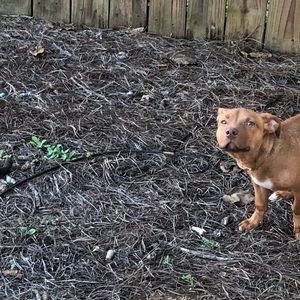 Meet your Posher, Jay