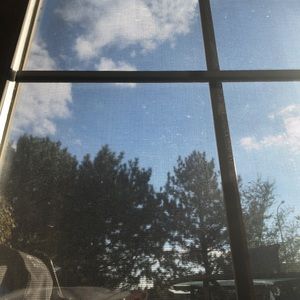 Meet your Posher, Ezzy