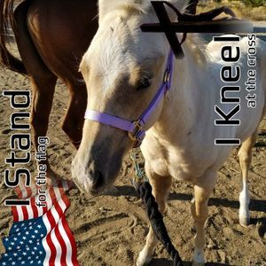 Meet your Posher, Michele