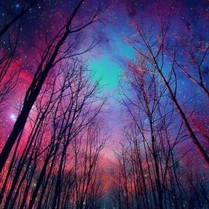 Meet your Posher, Margarita