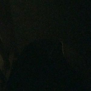 Meet your Posher, Charlandra