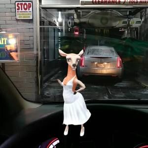 Meet your Posher, Keya