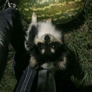 Meet your Posher, Jena