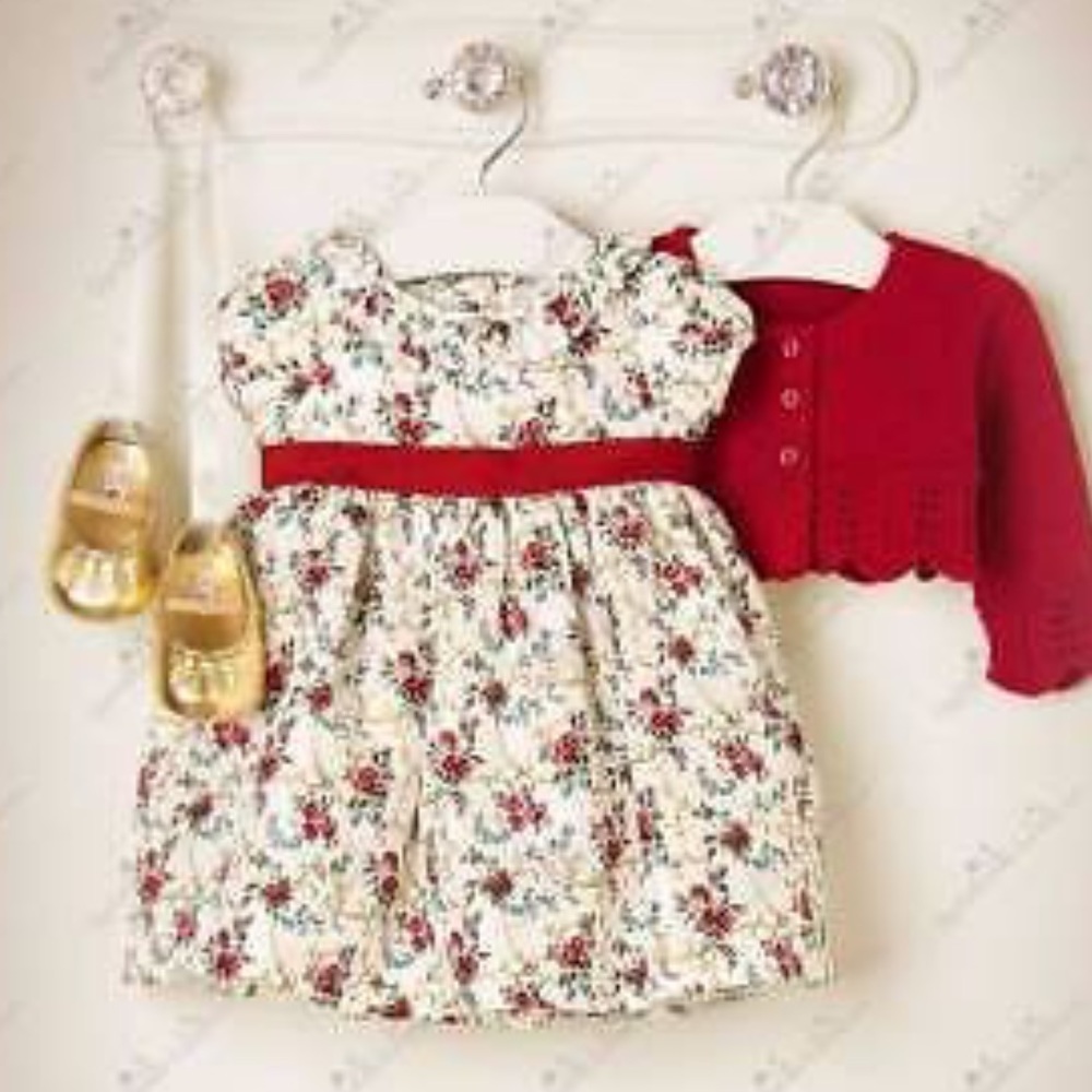 Janie and Jack HOLIDAY Floral Silk Dress Sz 12-18m