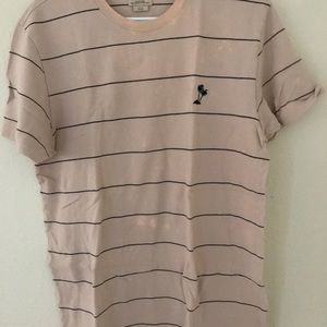 Vans, Flying Coffin, Primitive Large T shirts