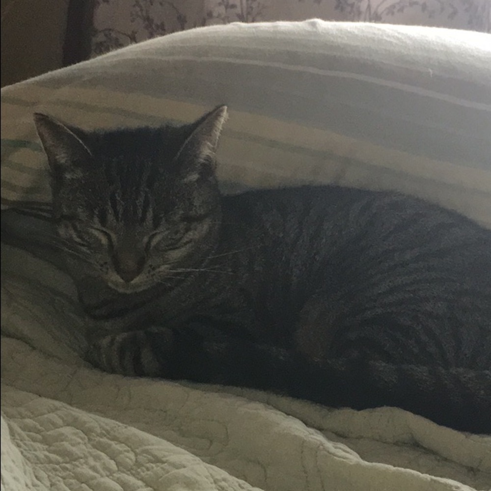 Meet your Posher, Jpdy