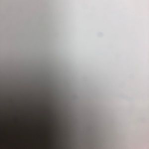 Meet your Posher, Ethan