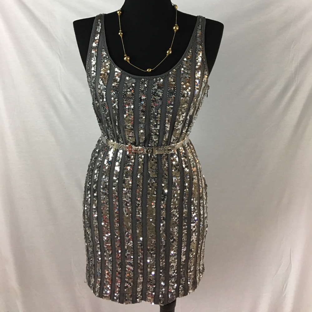 HP 💕💕💕 Sliver Sequin Dress