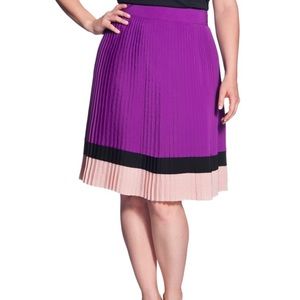 NWOT The Limited Pleated Skirt