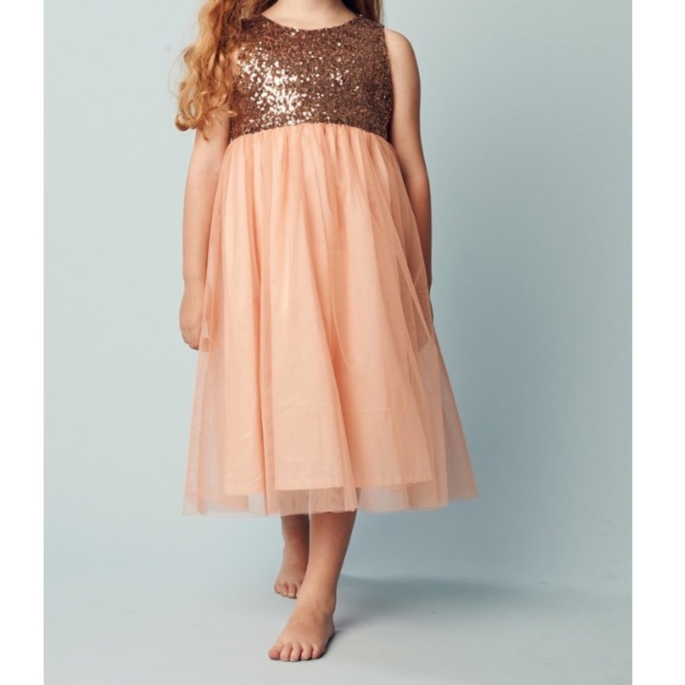 Girl's Sequin and tulle dress
