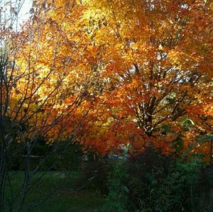 Meet your Posher, Paula