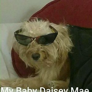 Meet your Posher, Gina