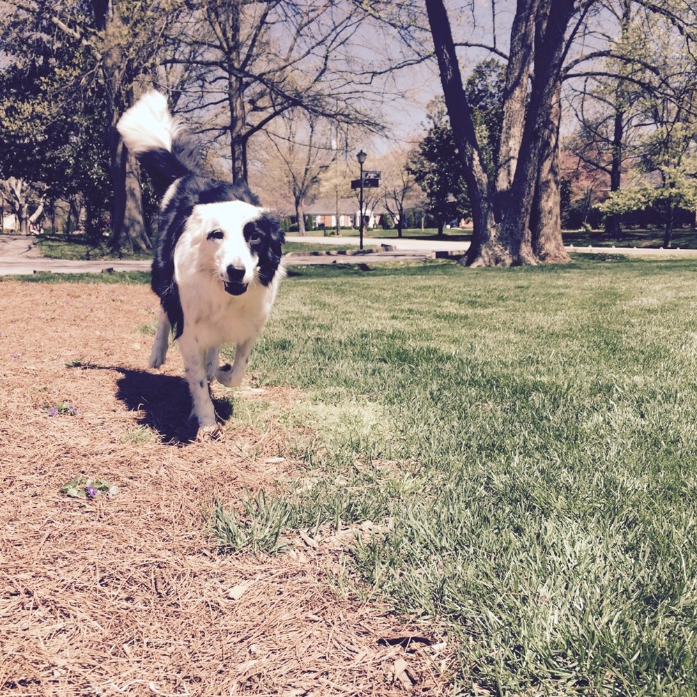 Meet your Posher, Gina