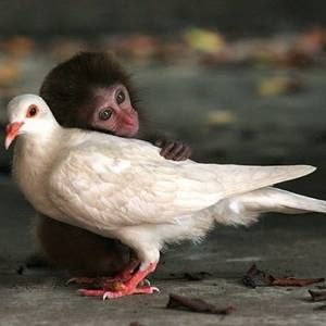 Meet your Posher, Carolyn