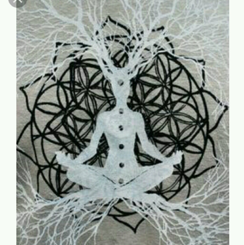 Meet your Posher, Arborist