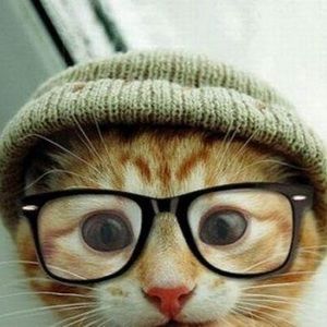 Meet your Posher, Lesslie