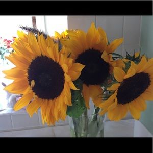 Meet your Posher, Kristy