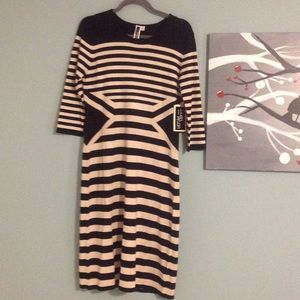 NWT Sweater dress