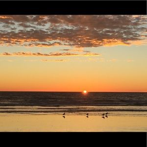 Meet your Posher, Shelley