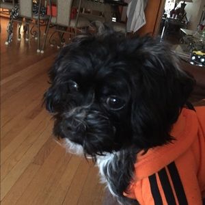 Meet your Posher, Leonardo