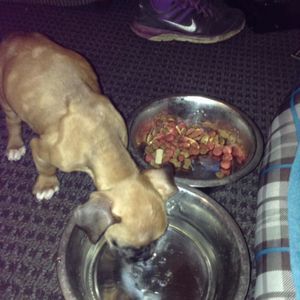 Meet your Posher, Caitlyn