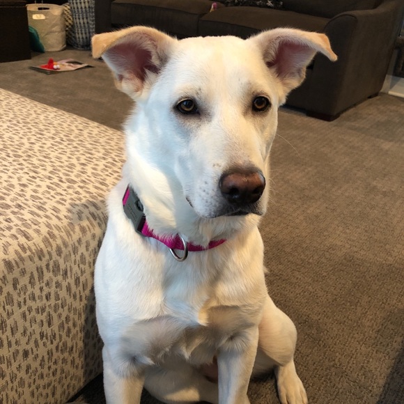 Meet your posher!!! - Picture 4 of 7