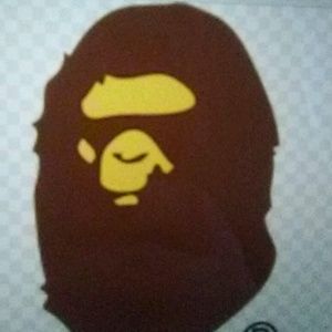 Meet your Posher, Donovan