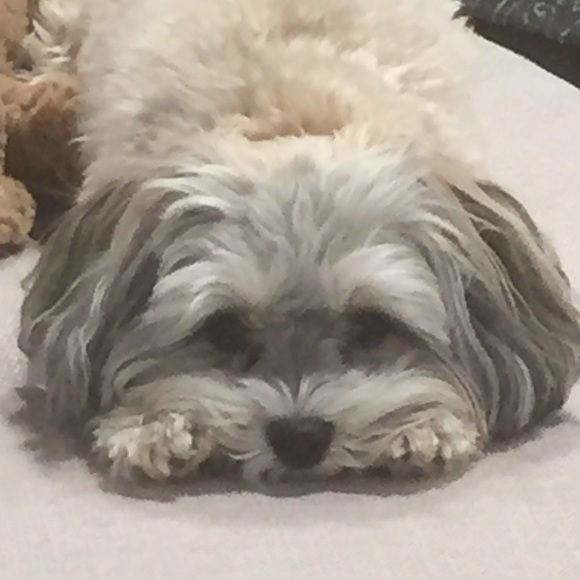 Meet your Posher, Keith - Picture 1 of 1