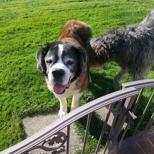 Meet your Posher, Toni