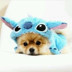 Meet your Posher, Joanna