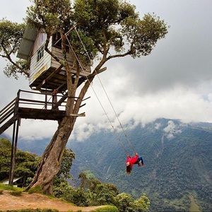 Meet your Posher, Johanna