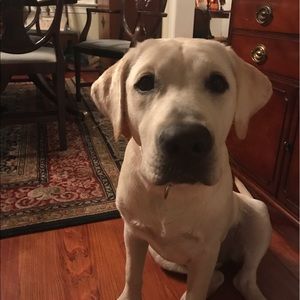 Meet your Posher, Camille