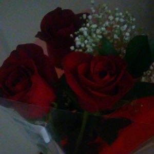 Meet your Posher, Dariana