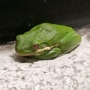 Meet your Posher, Vince