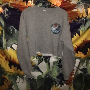 PacSun Cropped Sweatshirt
