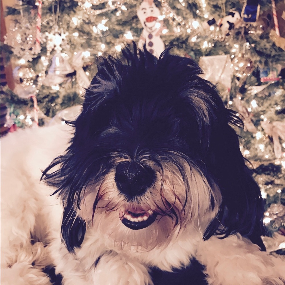 Meet your Posher, Haylie