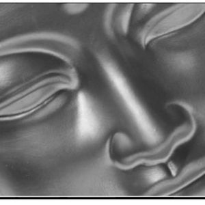 Meet your Posher, Timiko