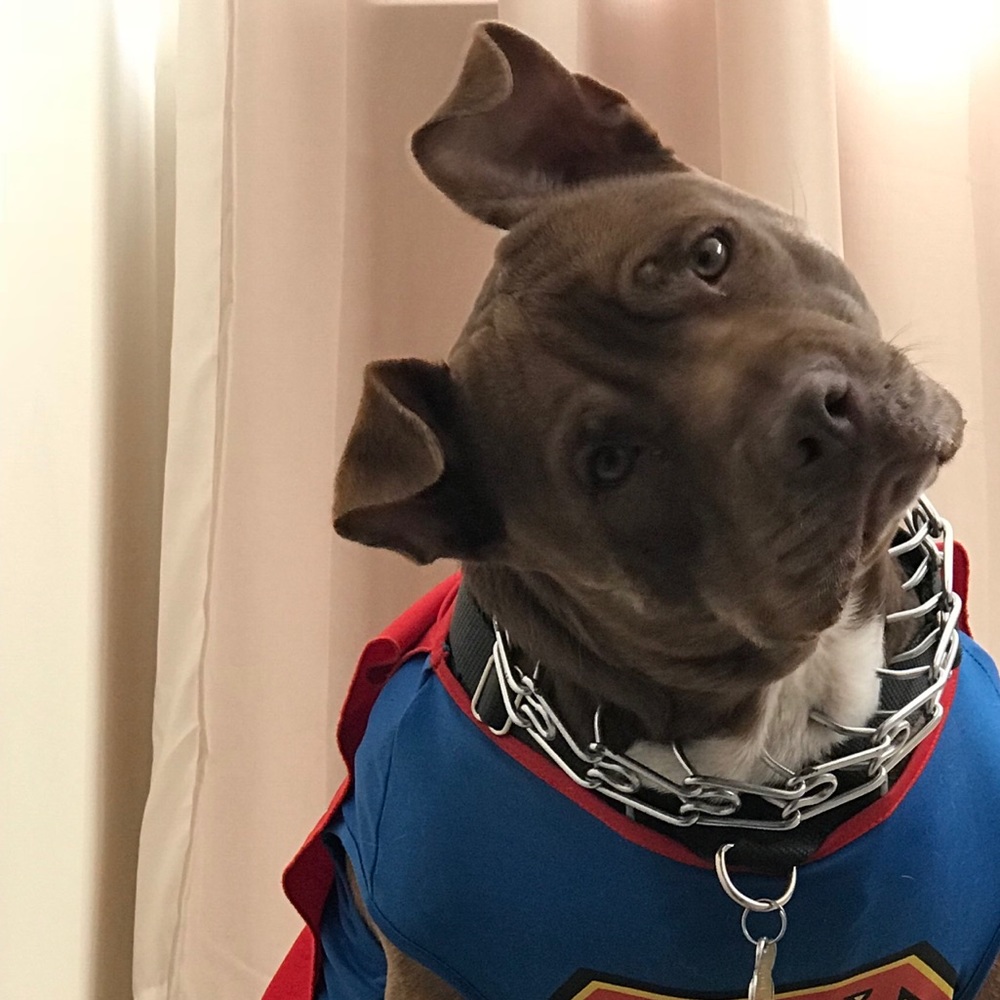 Meet your Posher, June