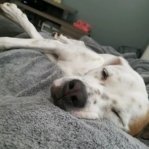 Meet your Posher, Enrique