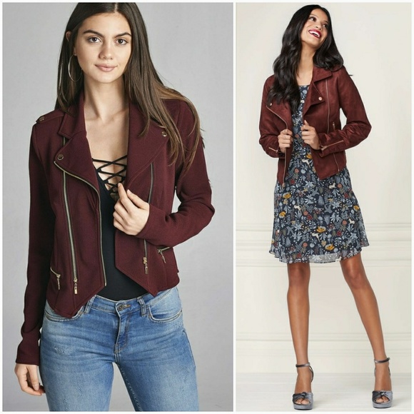 Plum Knit Moto Jacket - Picture 2 of 3