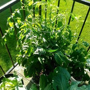 Meet your Posher, Arlene