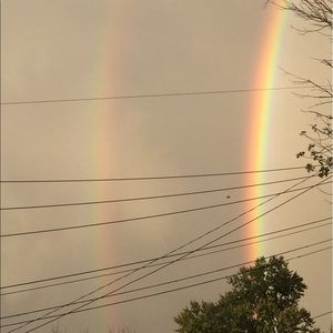 Meet your Posher, Lilli