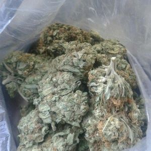 Meet your Posher, Donnie