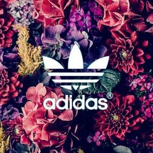 Meet your Posher, Meira