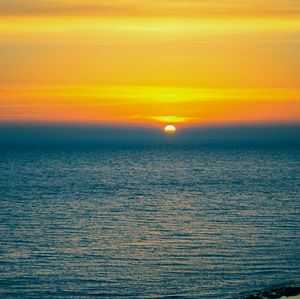 Meet your Posher, Majenta