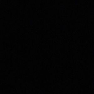 Meet your Posher, Abbie